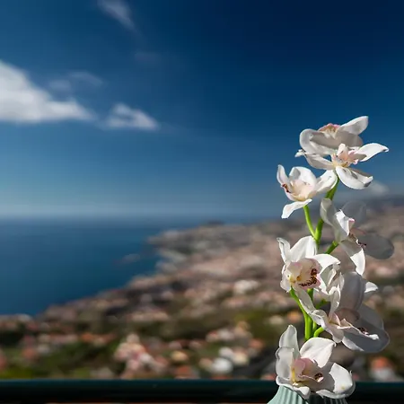 Апартаменты Atlantic Ocean By Madeira Фуншал