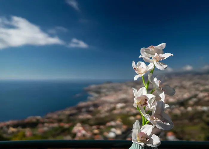 Apartament Atlantic Ocean By Madeira Funchal (Madeira)